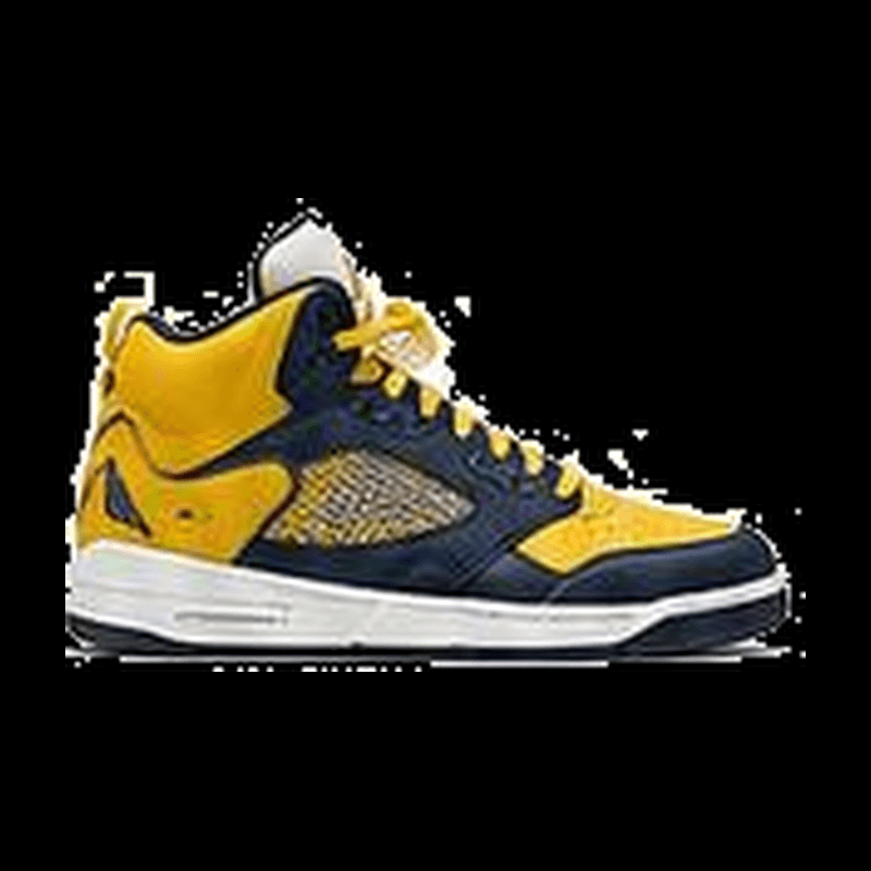 Air Jordan 5 Michigan
