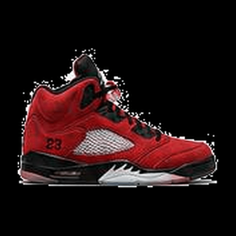 Air Jordan 5 Raging Bull